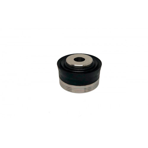 image Piston Complete 4-1/2 for KERR (Q5450-245-450) BORG Pumps GMBH