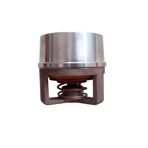 Suction valve for PP 500 (BG-PD-038-10013)