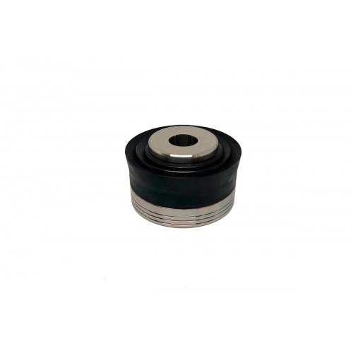 image Piston Complete 4-1/2 for KERR (BG-Q5450-245-450) BORG Pumps GMBH