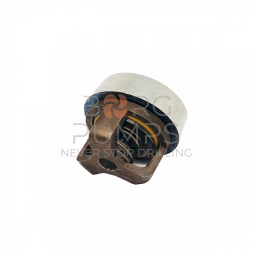 image Discharge valve for Aplex (BG-TS30-AR0-AC0798)