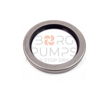 image P509731 Crankshaft oil seal FMC M1432 BORG Pumps GMBH