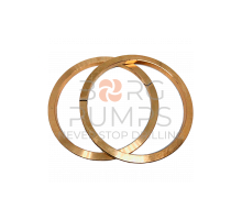 image P513744 Ring BORG Pumps GMBH