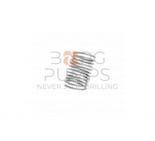 image Valve Spring for KERR (KZ-58)BORG Pumps GMBH