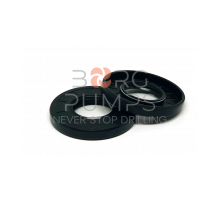 1101095 Oil Seal