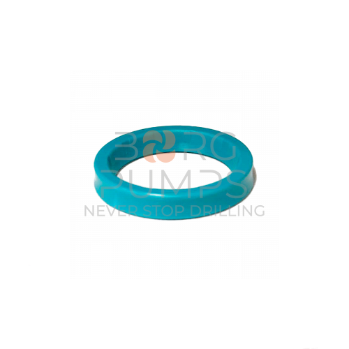 image P509943 Pump stem oil seal M1432 BORG Pumps GMBH