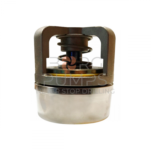 image P510664 Intake valve FMC M1432 BORG Pumps GMBH