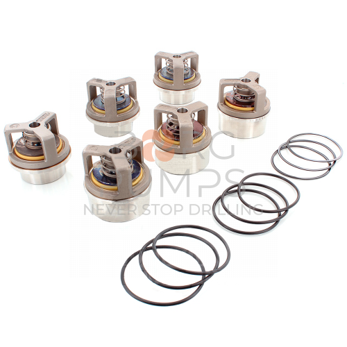 image P508619 FMC L1622HV Valve Set BORG Pumps GMBH