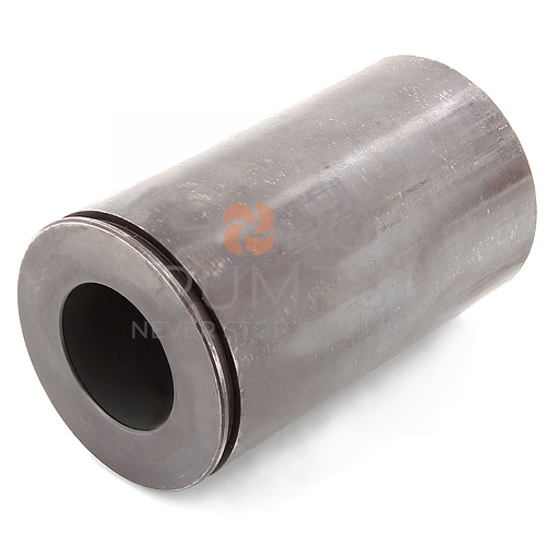 image P508346 K-Tech Coated Cylinder BORG Pumps GMBH