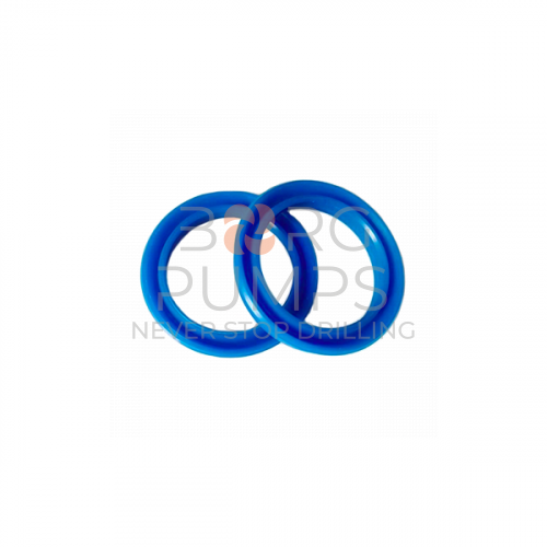 image P509945 Oil seal BORG Pumps GMBH