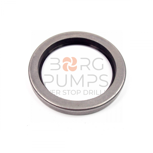 image P509731 Crankshaft oil seal FMC M1432 BORG Pumps GMBH