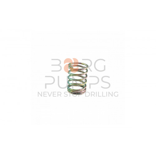 image Valve Spring for Aplex (7206-0302-00A) BORG Pumps GMBH