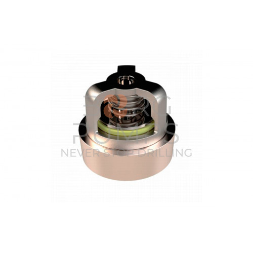 image Discharge valve for Aplex (BG-TS32-AR0-AC0731)