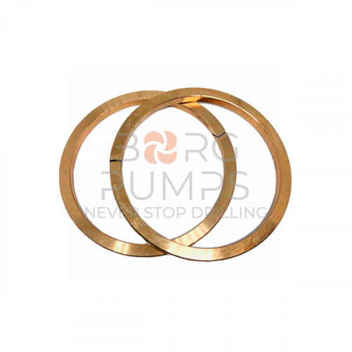 image P513744 Ring BORG Pumps GMBH