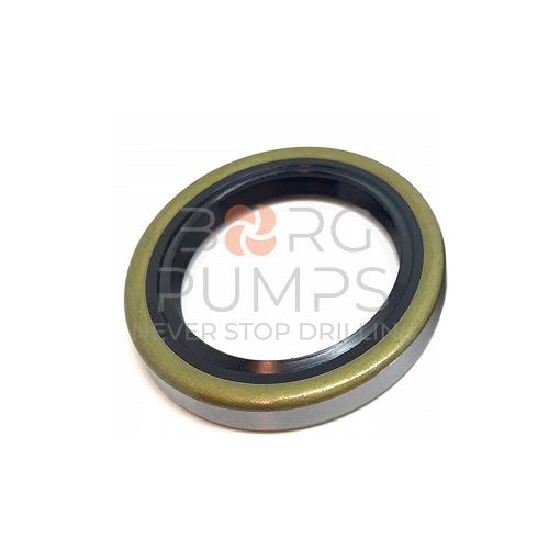 image 5262844 FMC M12/M13 crankshaft oil seal BORG Pumps GMBH