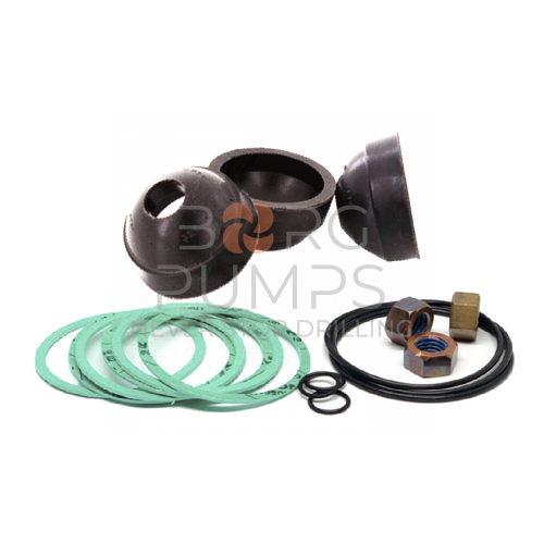 image P503041, 500-1717 Piston Set (191-094) JT2020, JT2720 BORG Pumps GMBH