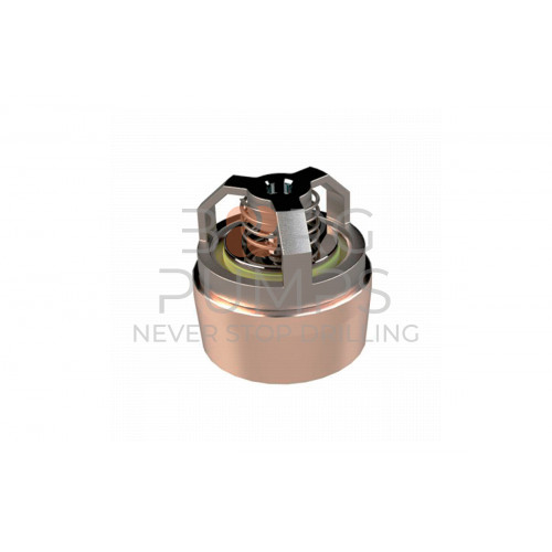 image Discharge valve assembly for Aplex (BG-TS18-AR0-AC0715)