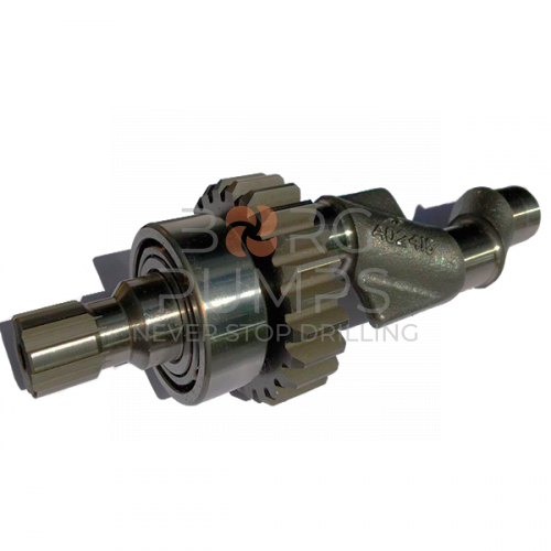 image P509529 E04 Series Crankshaft BORG Pumps GMBH
