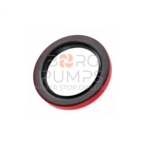 image P508298 Crankshaft oil seal BORG Pumps GMBH
