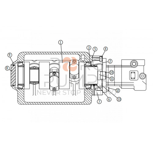 image Crankshaft for Aplex (7207-0054-00B) BORG Pumps GMBH