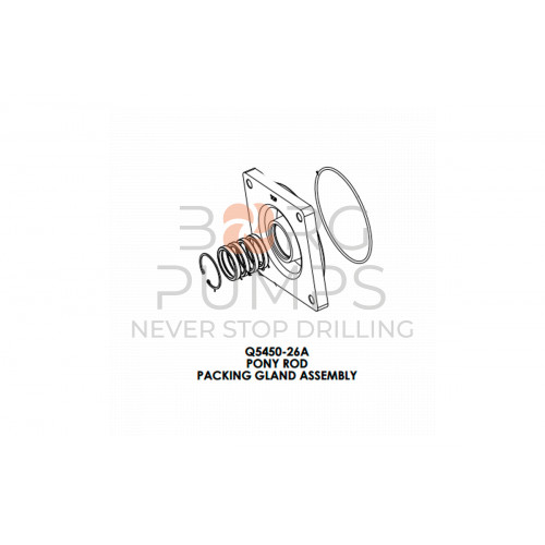 image Gland Ass'y, Pony Rod (Pony Rod Gland, Snap Ring, Seals) for KERR (Q5450-26A) BORG Pumps GMBH