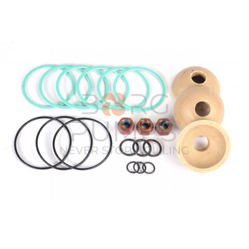 image P509371 Piston Repair Kit L06/L09 (TYPE A) BORG Pumps GMBH