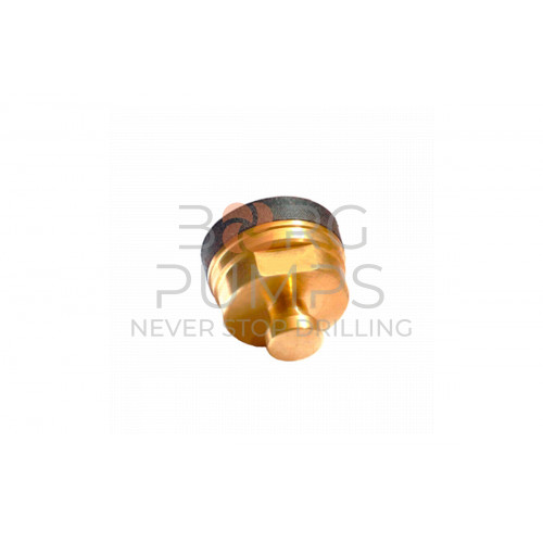 image Piston 2.00&quot; (complete) for KERR (KM-245-200) BORG Pumps GMBH