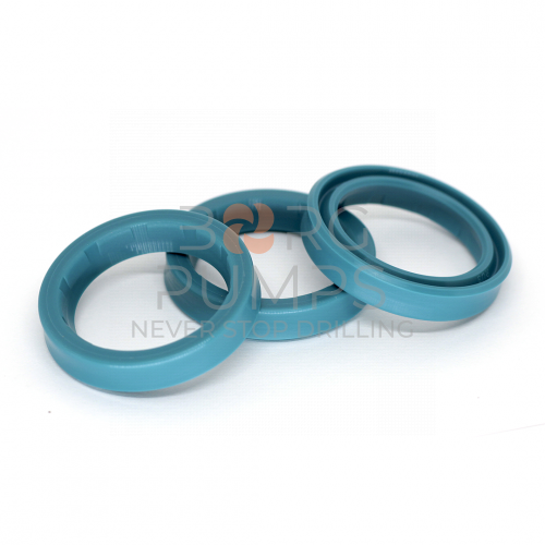 image P501999 Oil seal FMC M12 BORG Pumps GMBH