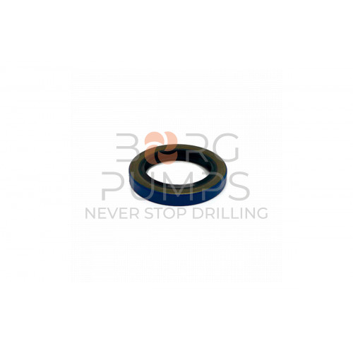 image Oil Seal for Aplex (145-114206-999) BORG Pumps GMBH