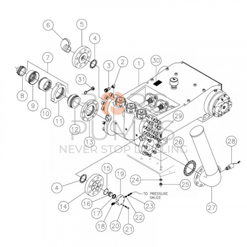 image 287034001 Fitting - 5&quot; mpt x 4&quot; mpt reducer for Vermeer Navigator D100x120 S2 BORG Pumps GMBH
